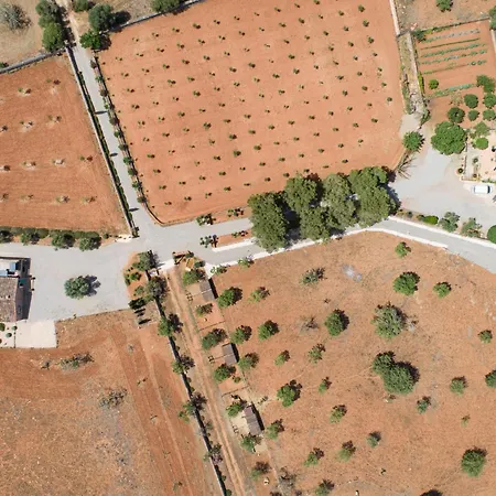 S'estador Manacor (Mallorca)